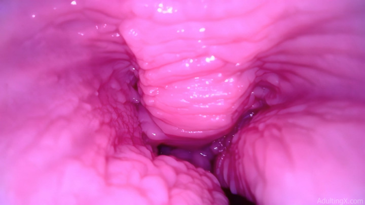 BTS Insideout Pussy Giggles - Oct 8, 2022