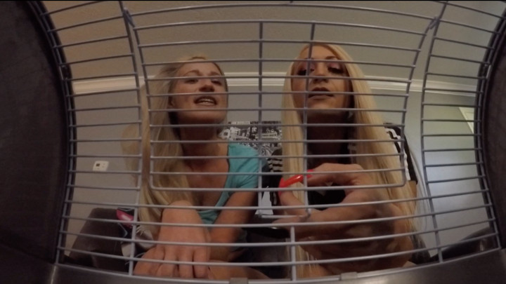 U R Tiny Pet For Britteni & Constance