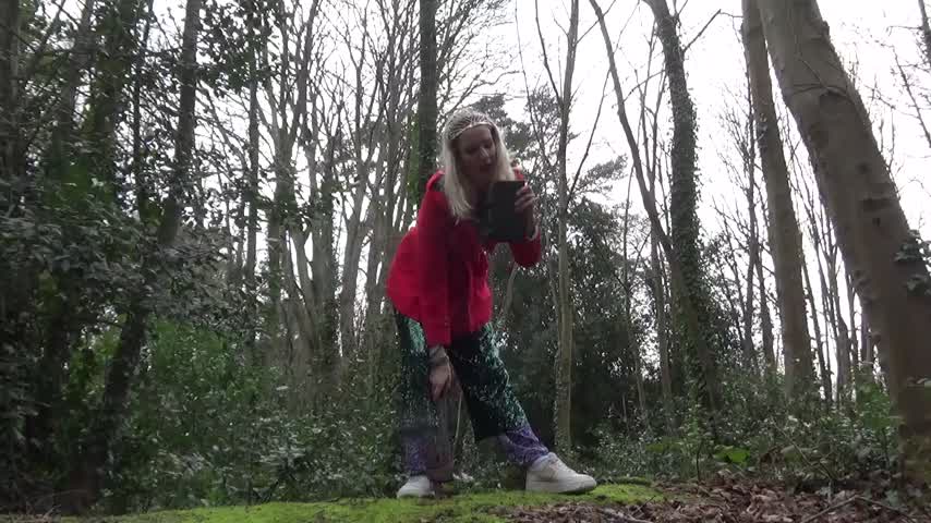 Princess Ipad Smash