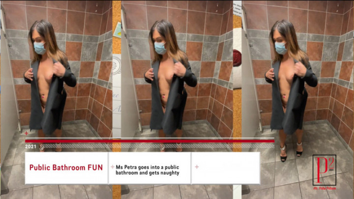 Public Bathroom Fun - Stream Version