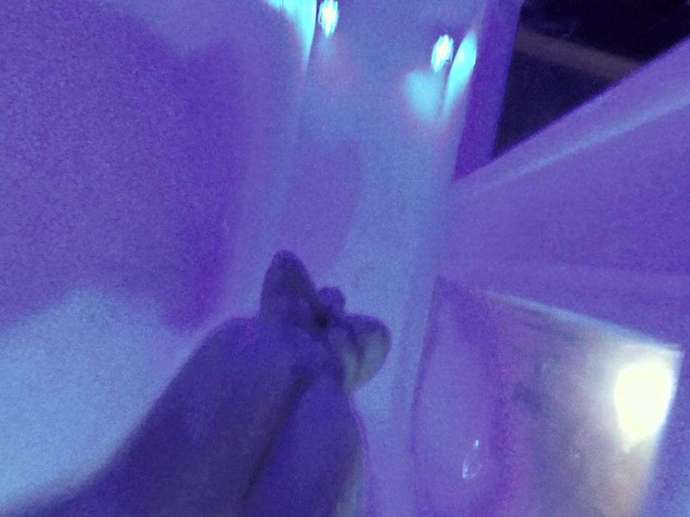 Msnadiawhite Black Light Shower Solo