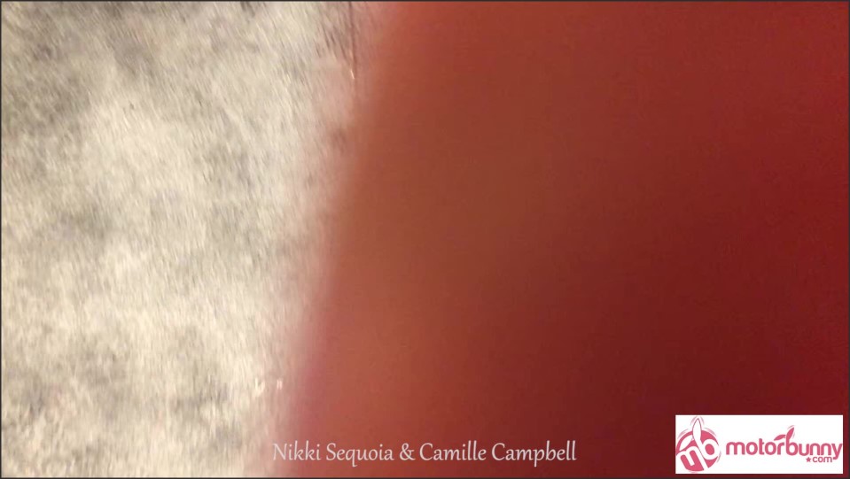Nikki Sequoia Avn2018 Public Motorbunny Ride