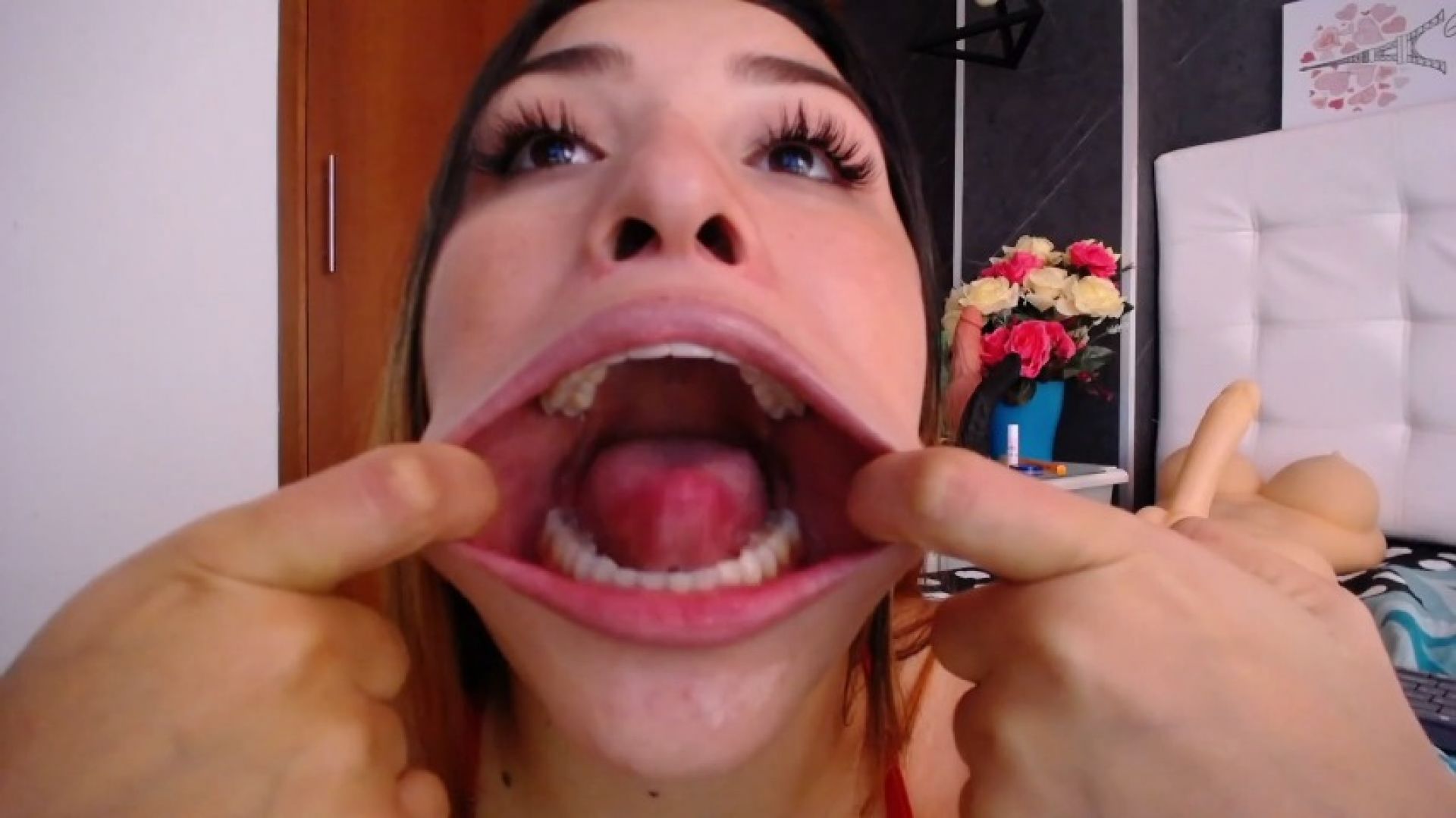 Dildo and Mouth