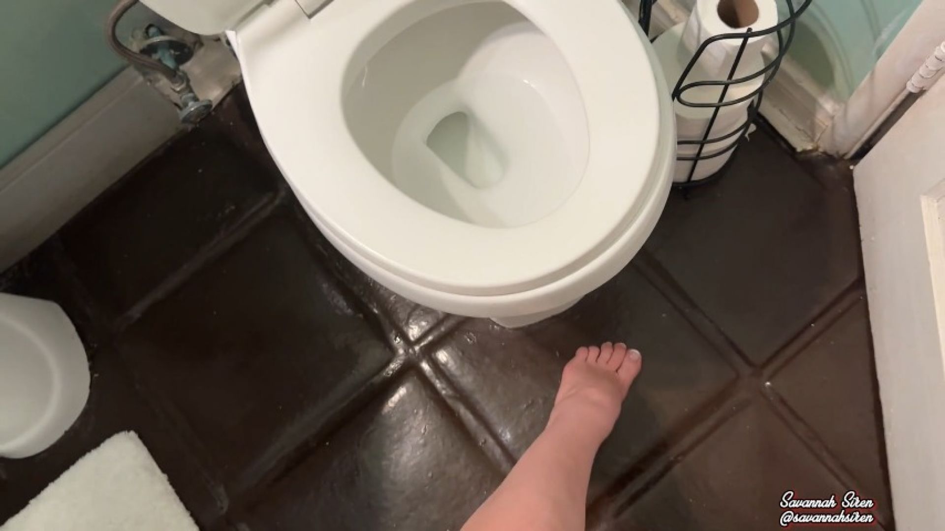 Toilet Seat Licking Slave Task CEI