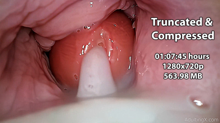 Inside Me 4 Hours - Clip Compressed - Feb 17, 2023