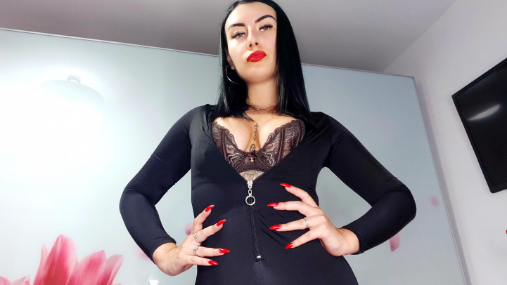 FantASStic - November 08, 2023