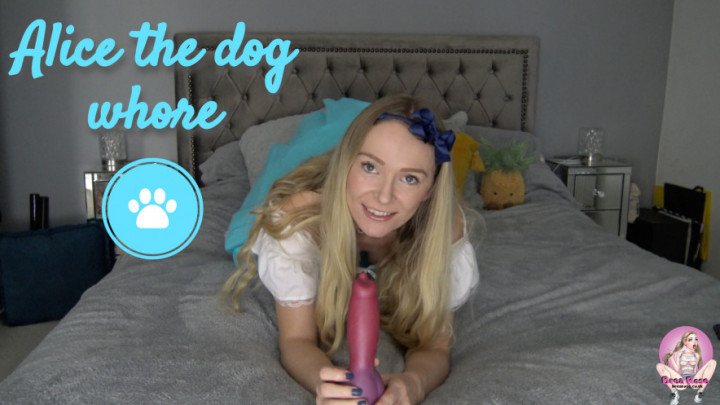 Alice the dog whore - December 12, 2019