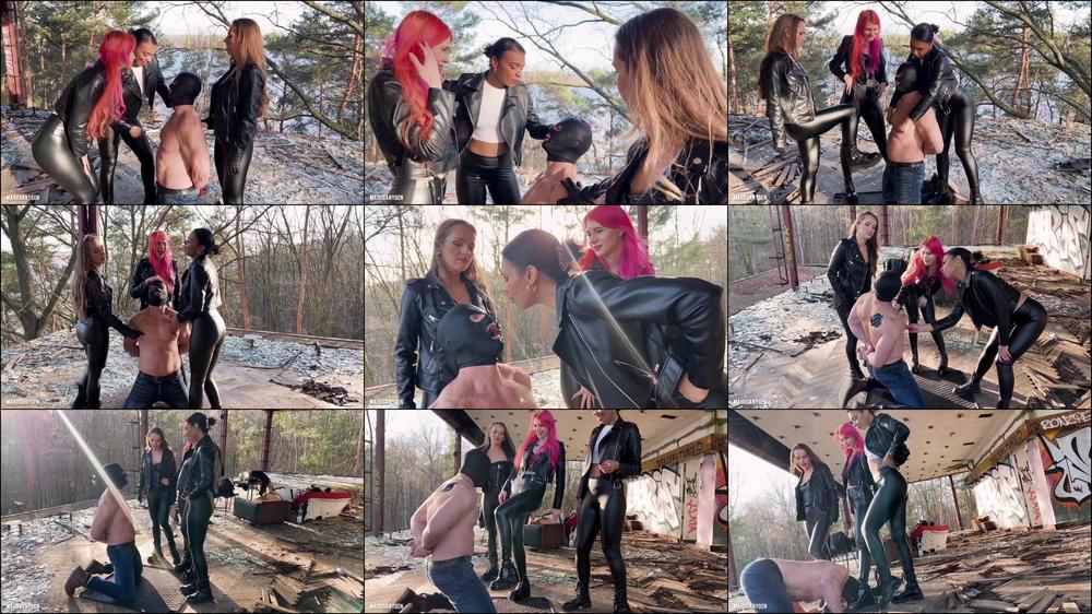 Alpha Crew Humiliation: Spits, Slaps & Ballbusting