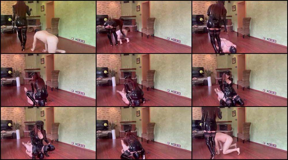Walking My Slave Cuckold Dog