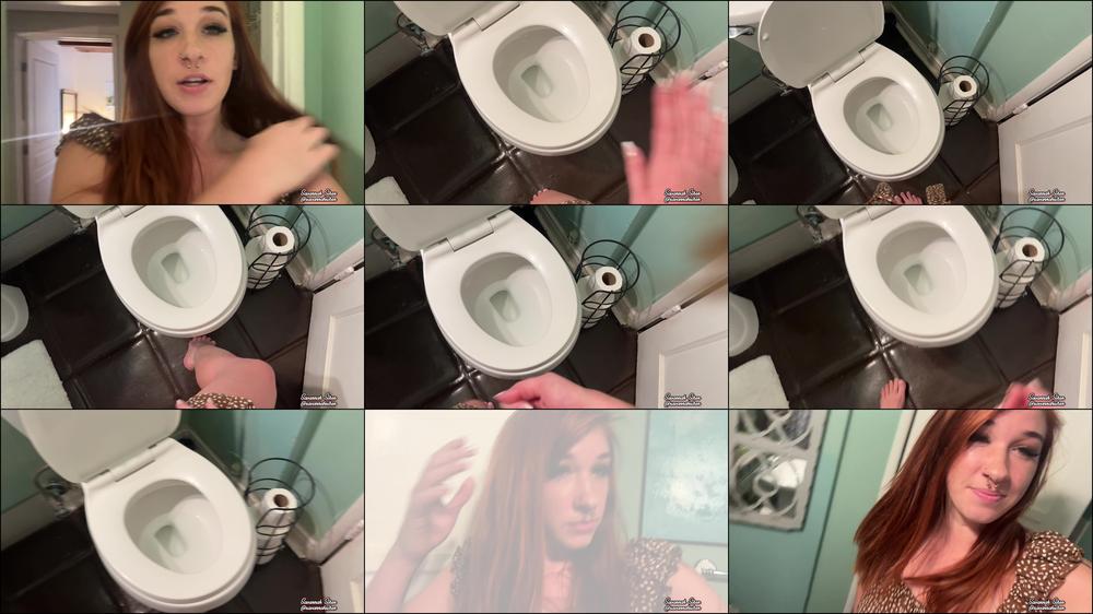 Toilet Seat Licking Slave Task CEI