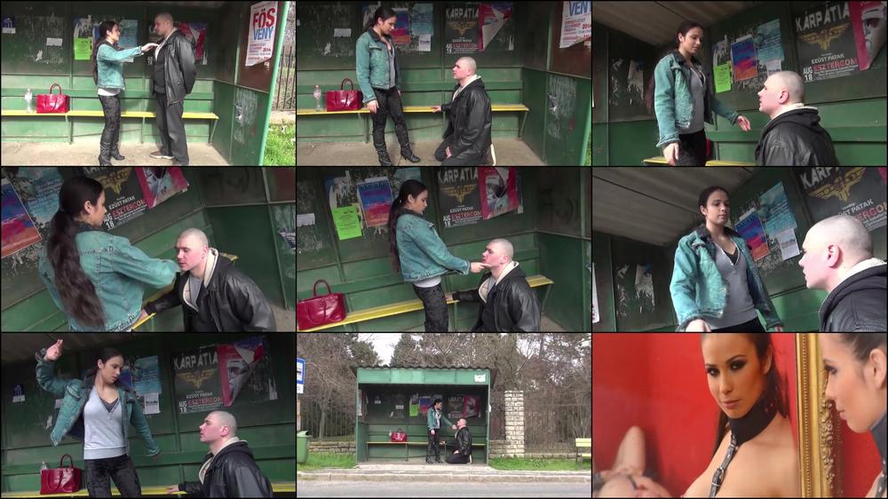 Miracuckold Public Face Slapping At A Bus Stop