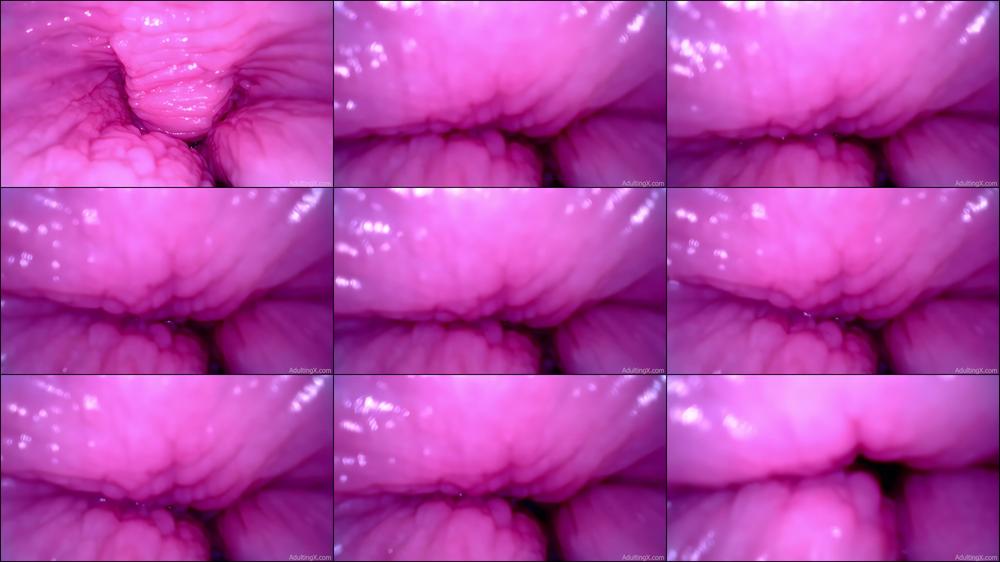 BTS Insideout Pussy Giggles - Oct 8, 2022