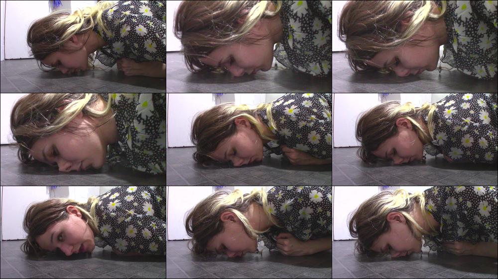 Piggy Nose On The Floor
