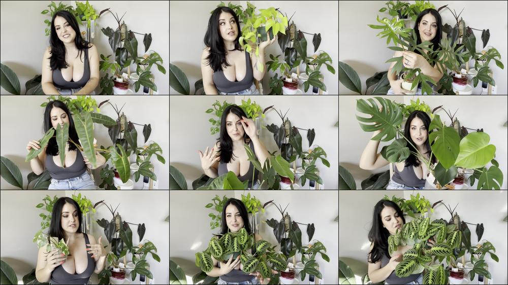 My Favourite Plants