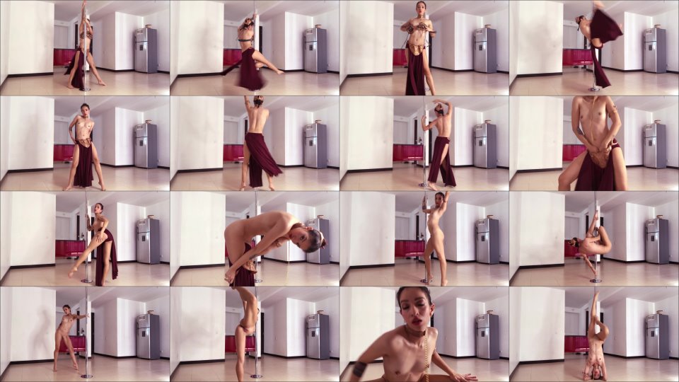 Ariabaker Slave Princess Leia Striptease