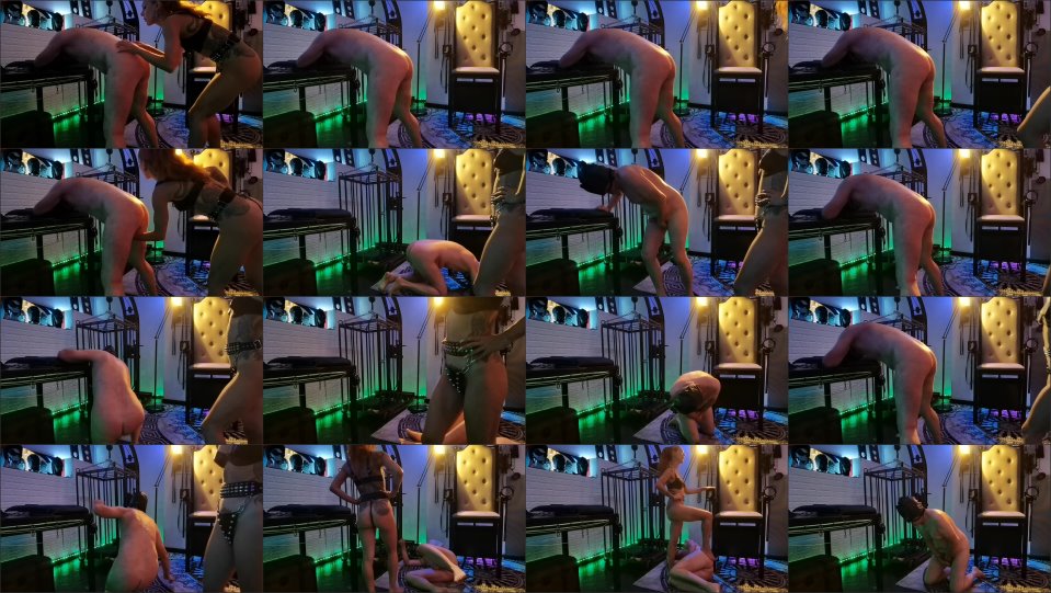 Reginamilanodom Silly Slave Cpt2 Shot Form Session Game Over For Your Balls