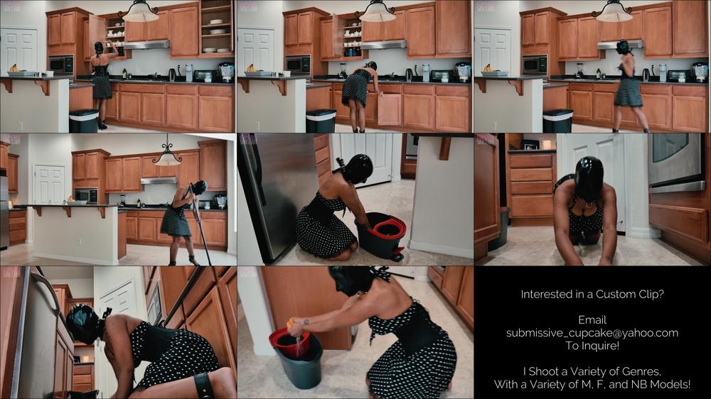 Subbiecupcake Domestic Drone