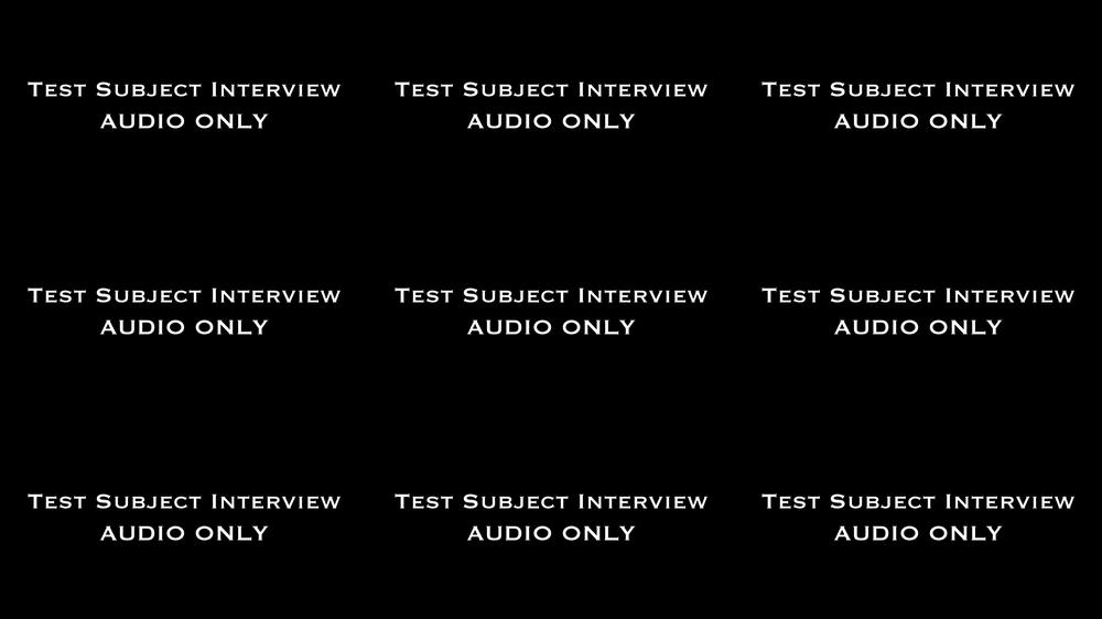 Test Subject Interview AUDIO ONLY