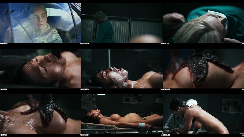 Transexperiments