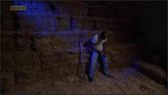 I Cought My Employee Jurking Backyard And Rided His Cock For Fun Sirina Tv (Sirina.TV)