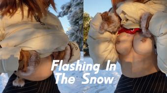 Flashing In The Snow (mikisayshi)