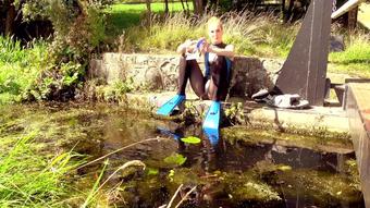 Ariel Anderssen Wild Flipper Show (Ariel Anderssen)