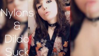 Nylon and Dildo Suck (Lexxiblakk)