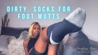 Temptressblair Dirty Socks For Foot Mutts (TemptressBlair)