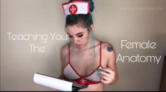 Teaching you the Female Anatomy (SavannahxSiren)