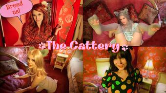 Crazy Cat Girl 2: The Cattery (OliveWood)