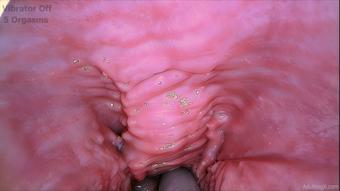 Pulsing Gspot 6 Orgasms - Jul 6, 2023 (adulting)