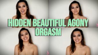 Hidden Beautiful Agony Orgasm (Summer Fox)
