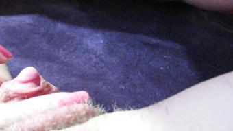 Cuteblonde666 Hairy Big Clit Pussy Licking And Sucking (cuteblonde666)