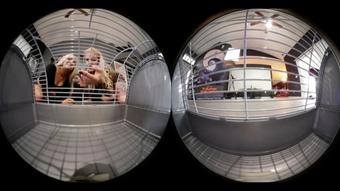 VR360*Teased & Eaten By 2 Giantesses (Ginary)