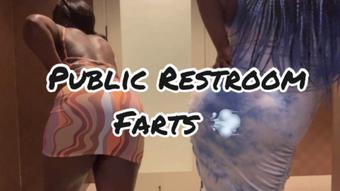 Double Domme Public Restroom farts - May 20, 2022 (RealQueenMelanin)
