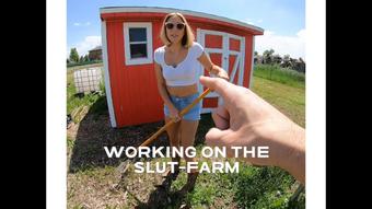 Working on the Slut Farm (Dallasdom Studios)