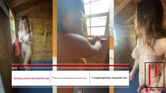 getting railed at the shed for sale (Ms Petra Petrova)