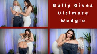Bully Gives me the ultimate wedgie (PeachySkye)