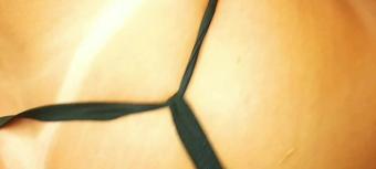 Monicasanthiagoxxx Elisa Sanches Passive For Me (Monicasanthiagoxxx)