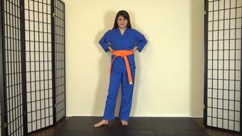 RAQUEL POV KARATE KICKING & BALLBUSTING - July 30, 2022 (RoxieRaeFetish)