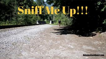 Helena Price Presents - SNIFF ME UP (Helenas Cock Quest)