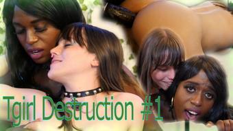 Tgirl Destruction #1 (Nyxi_Leon)