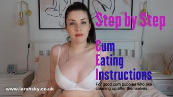 Step by Step Detailed CEI (Larah_Sky)