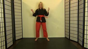Roxieraefetish Roxie Raes Karate Kicking Chopping (RoxieRaeFetish)