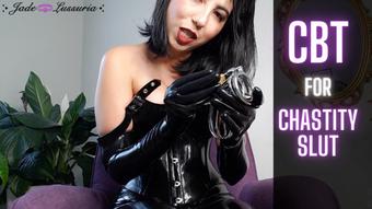 CBT for Chastity Slut (jadelussuria)