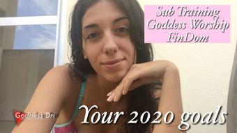 2020 Goals (GoddessDri)