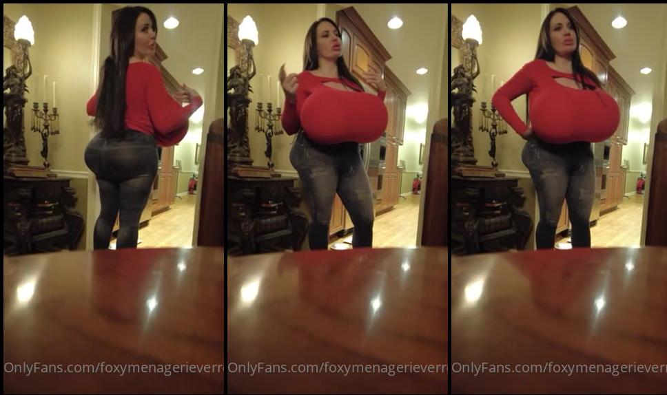 foxymenagerieverre 02 12 2021 2290450378