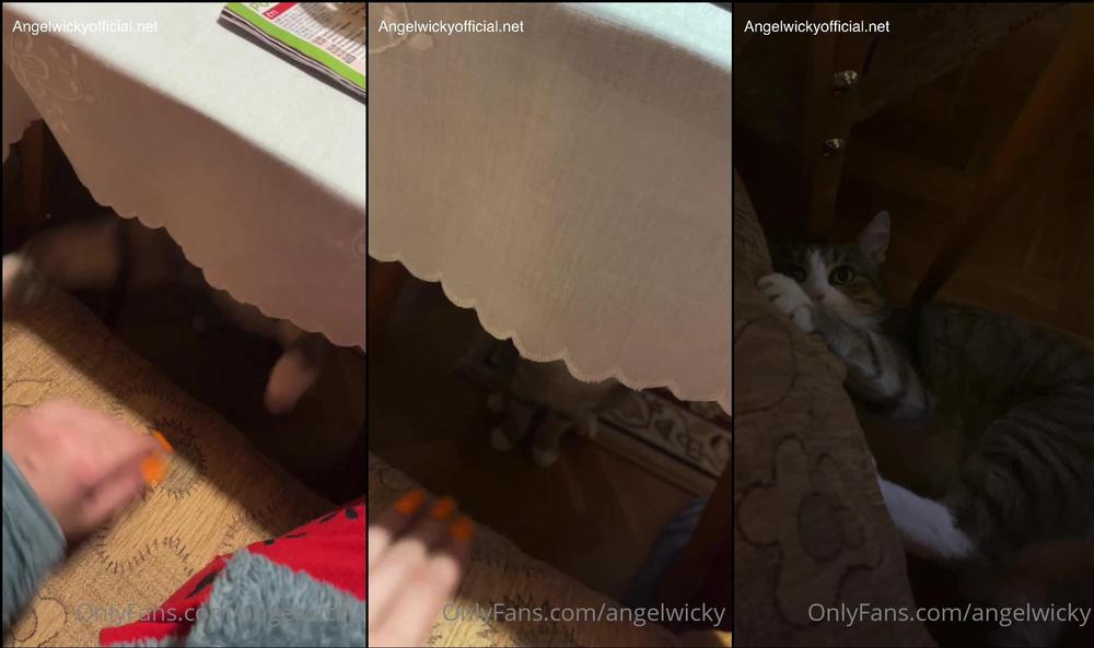 angelwicky 02 03 2022 2380568894 Playing with dadâs kitty