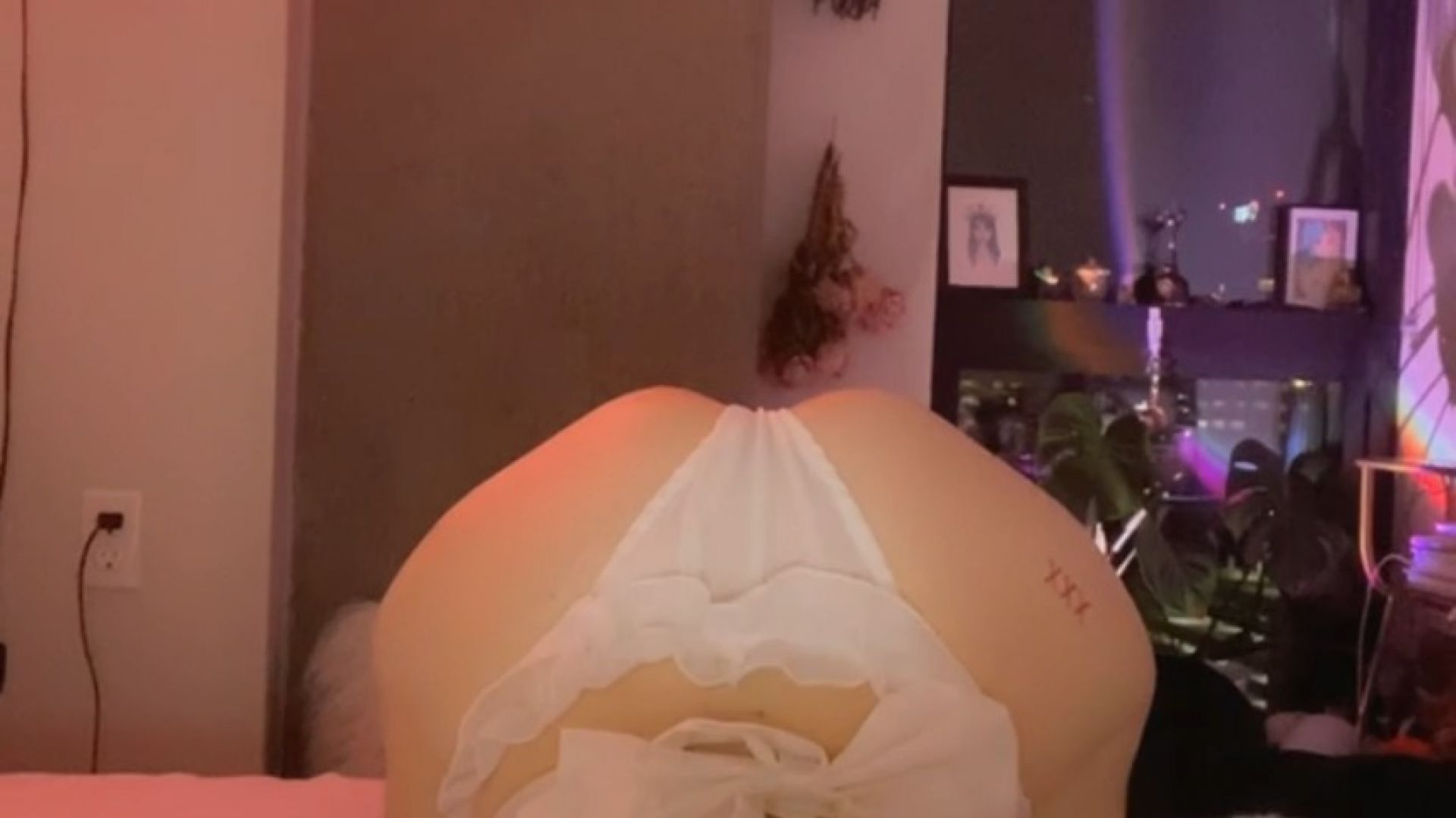 Kitty Kat Tease