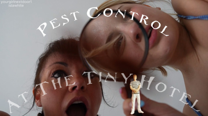 Pest Control At The Tiny Hotel - March 21, 2025